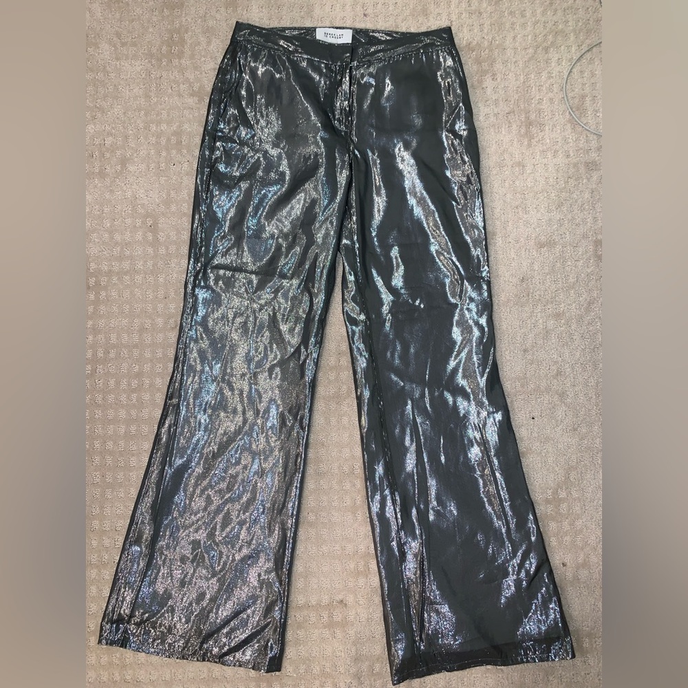Sparkly and Shiny 10 Crosby Derek Lam Trousers